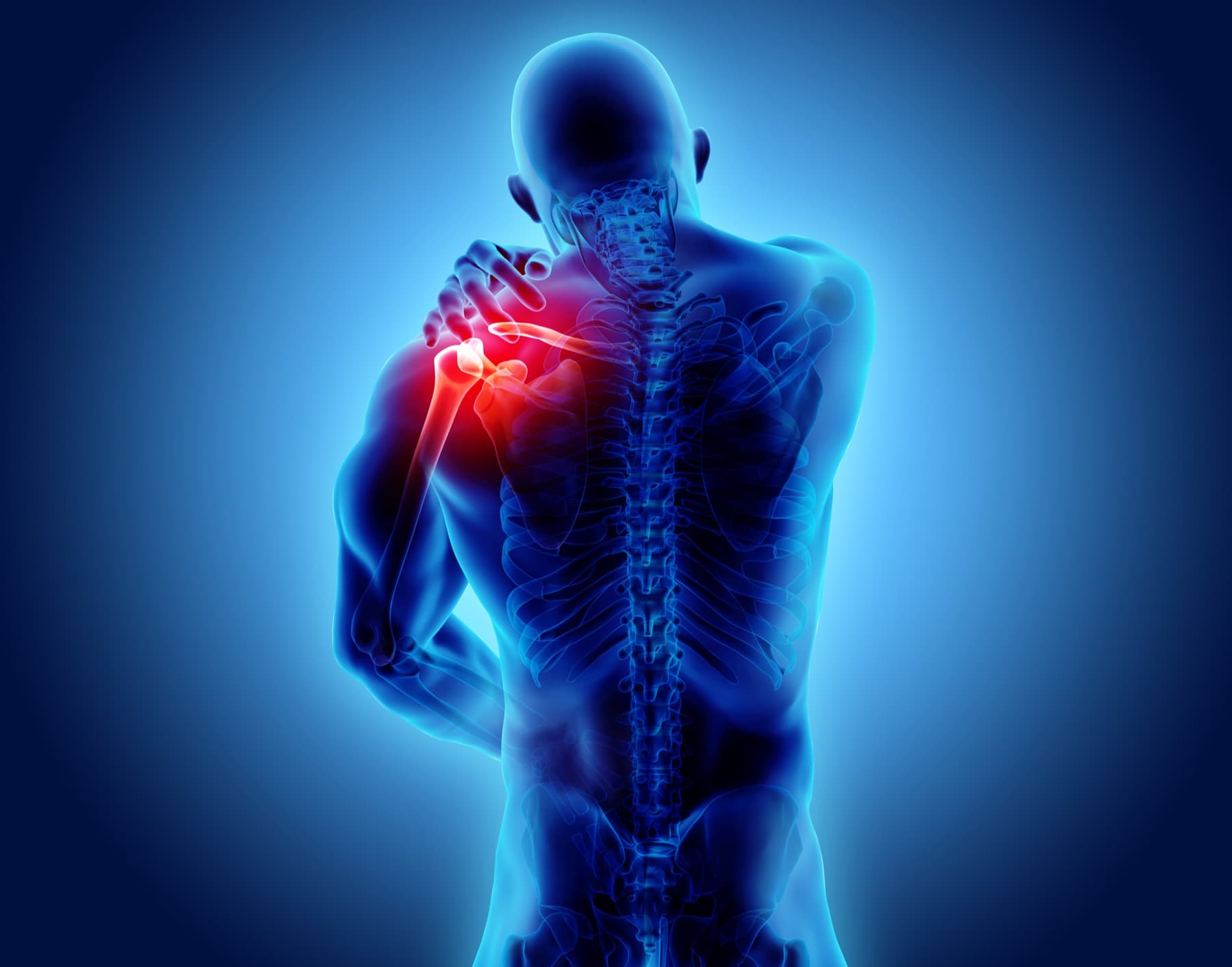 Illustration highlighting shoulder pain anatomy